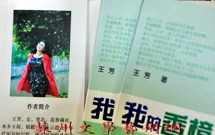 收入证明_戏剧 文学 收入(2)